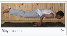 What Is Peacock Pose Or Mayurasana?